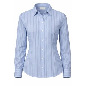 Ann Taylor Petites PS Blue White Pinstripe Button Front Blouse Long Sleeve
